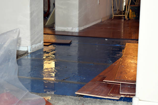 Professional Water Damage Repair technician working in Winthrop, ME